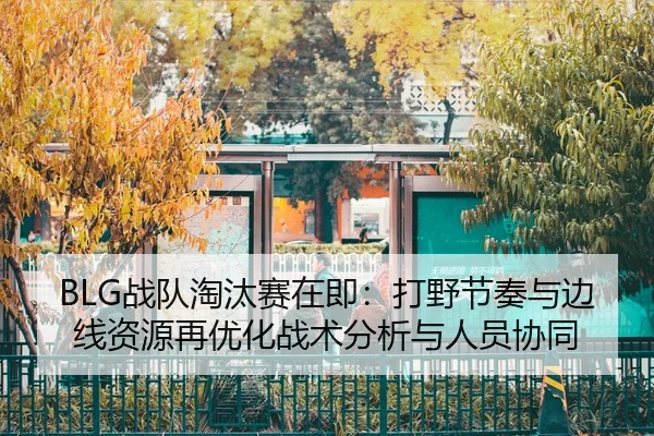 zhan-dui-tao-tai-sai-zai-ji-da-ye-jie-zou-yu-bian-xian-zi-yuan-zai-you-hua-zhan-shu-fen-xi-yu-ren-yuan-xie-tong-2-160.jpg